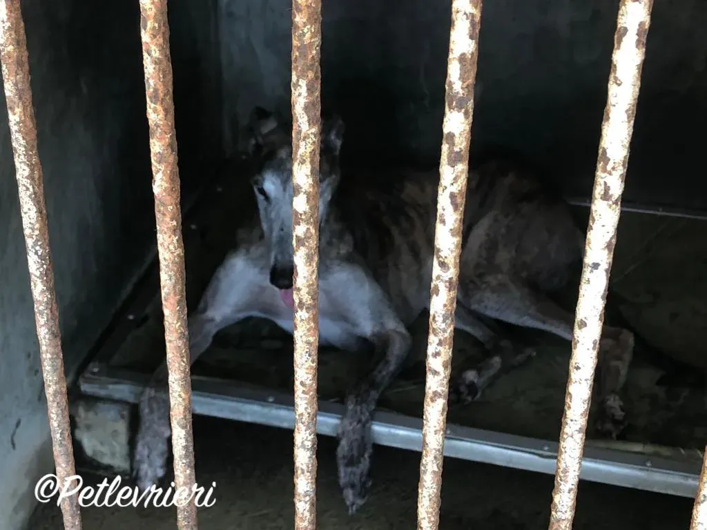 WhatsApp Image 2018 09 15 at 08.20.41