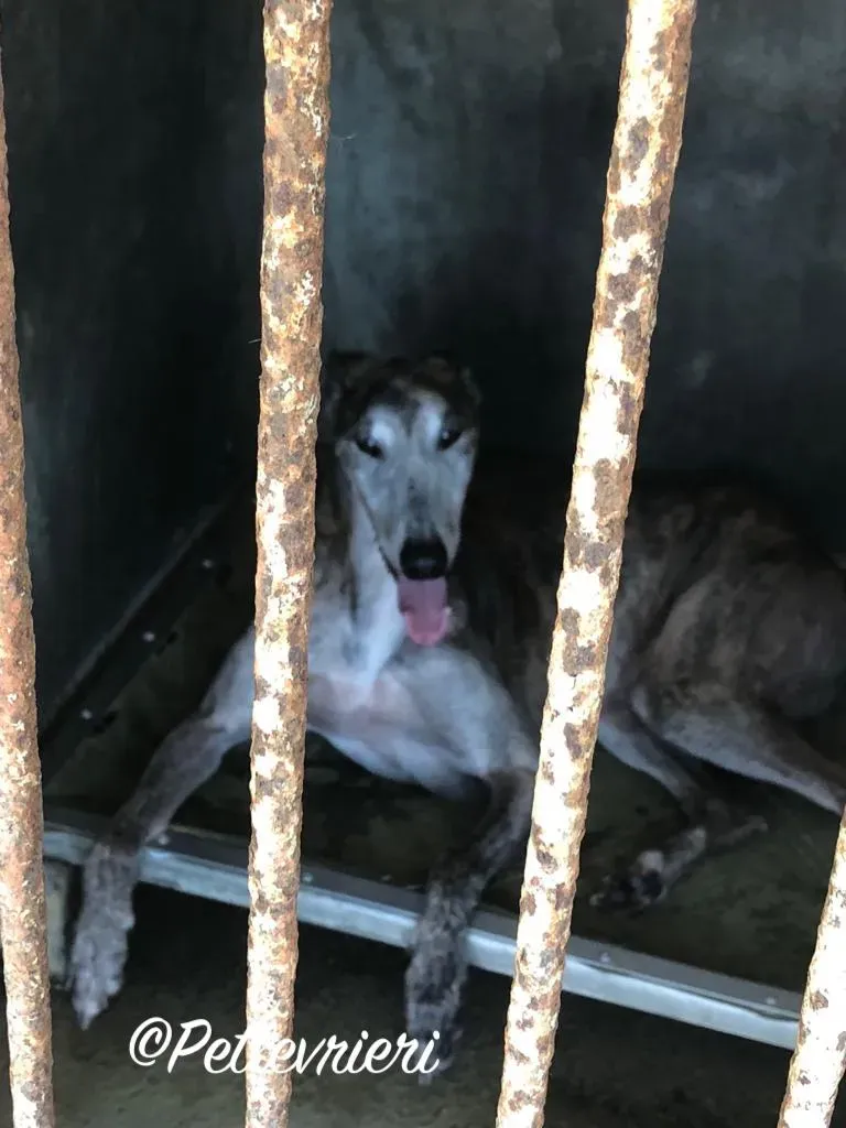 WhatsApp Image 2018 09 15 at 08.20.55