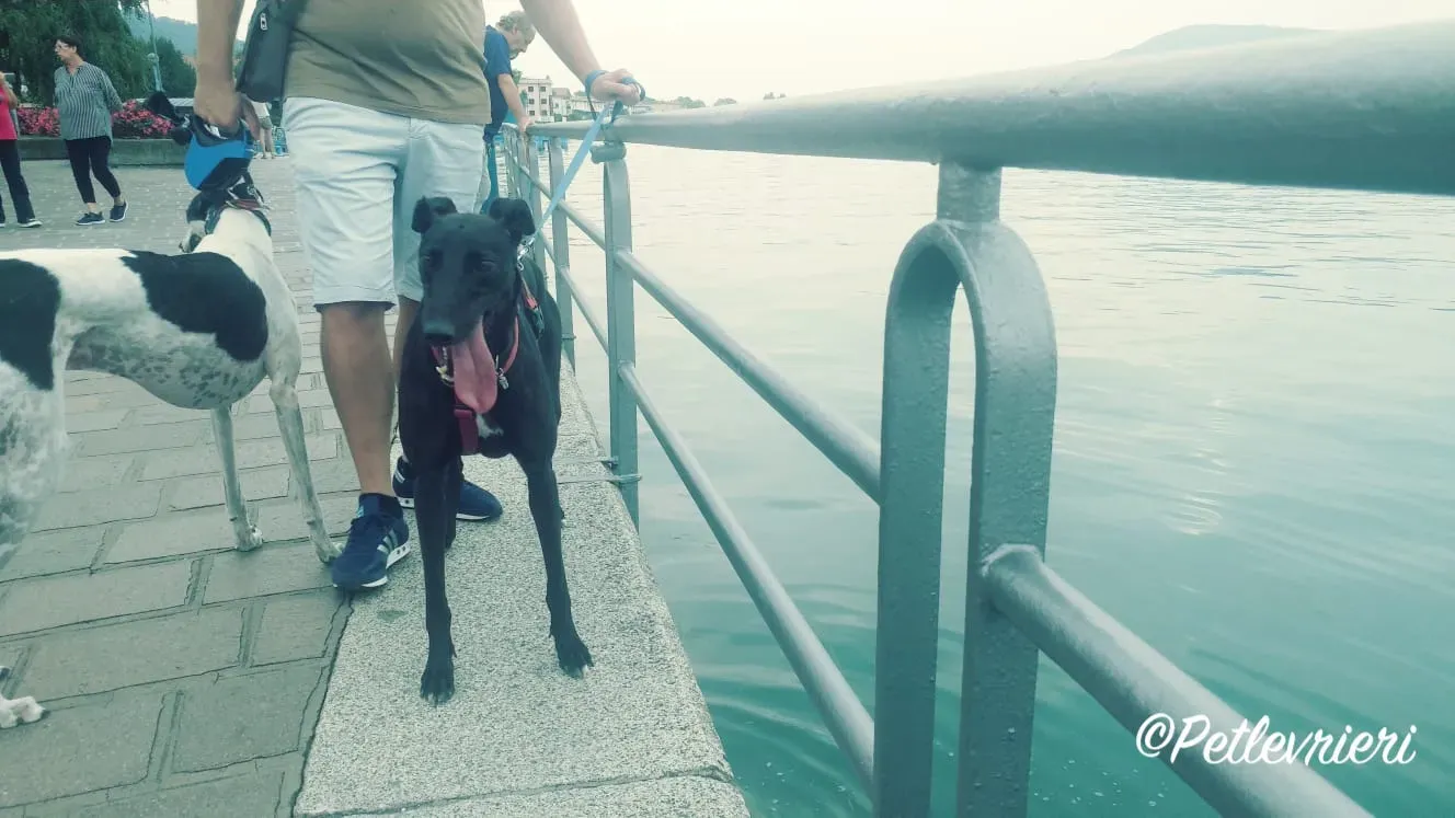 WhatsApp Image 2018 09 22 at 17.54.34