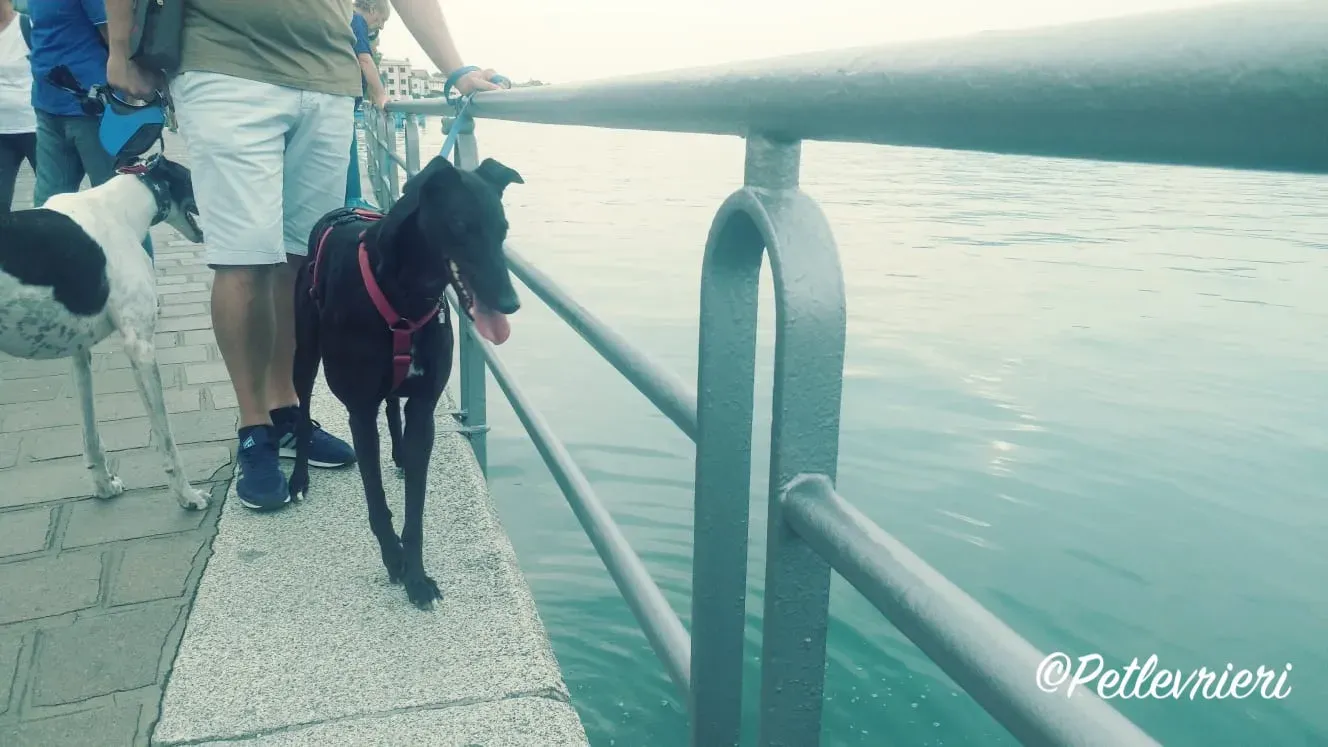 WhatsApp Image 2018 09 22 at 17.54.47