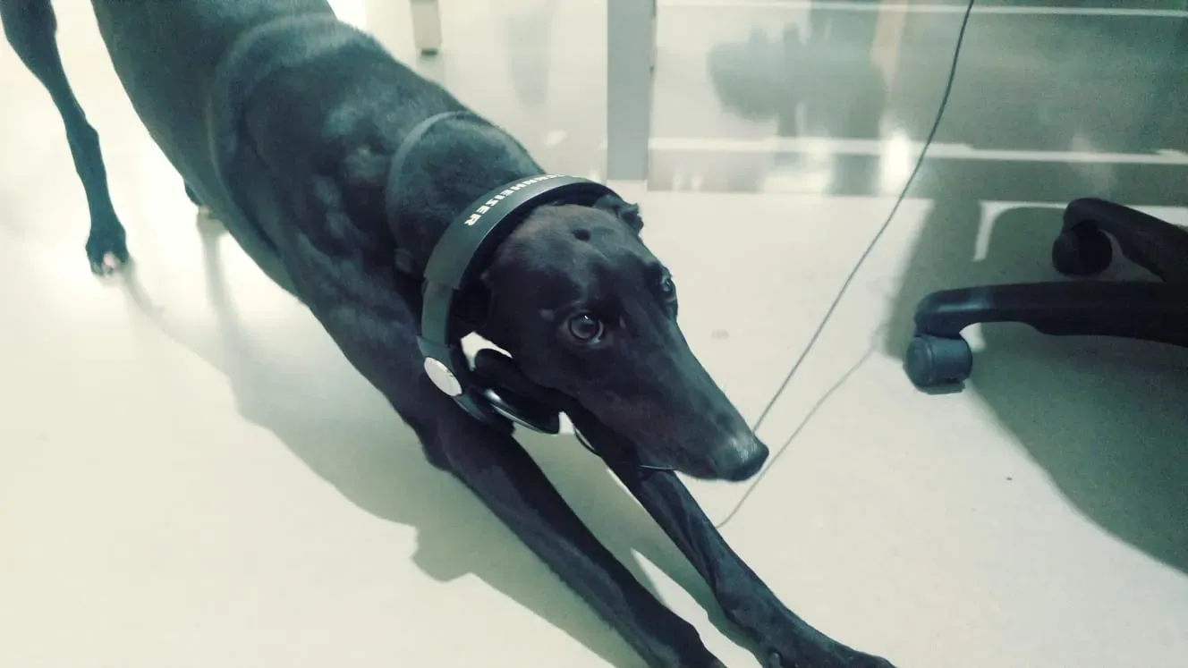 WhatsApp Image 2018 09 26 at 11.52.27