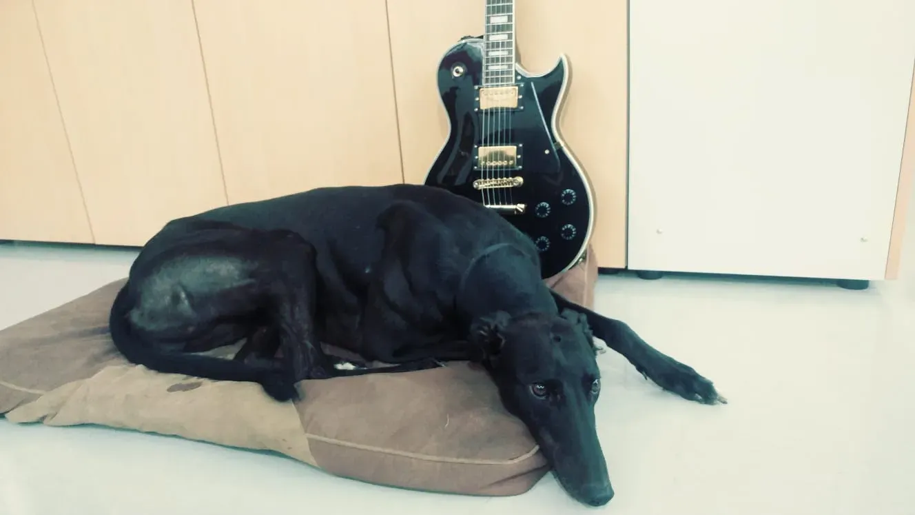 WhatsApp Image 2018 09 26 at 11.54.32