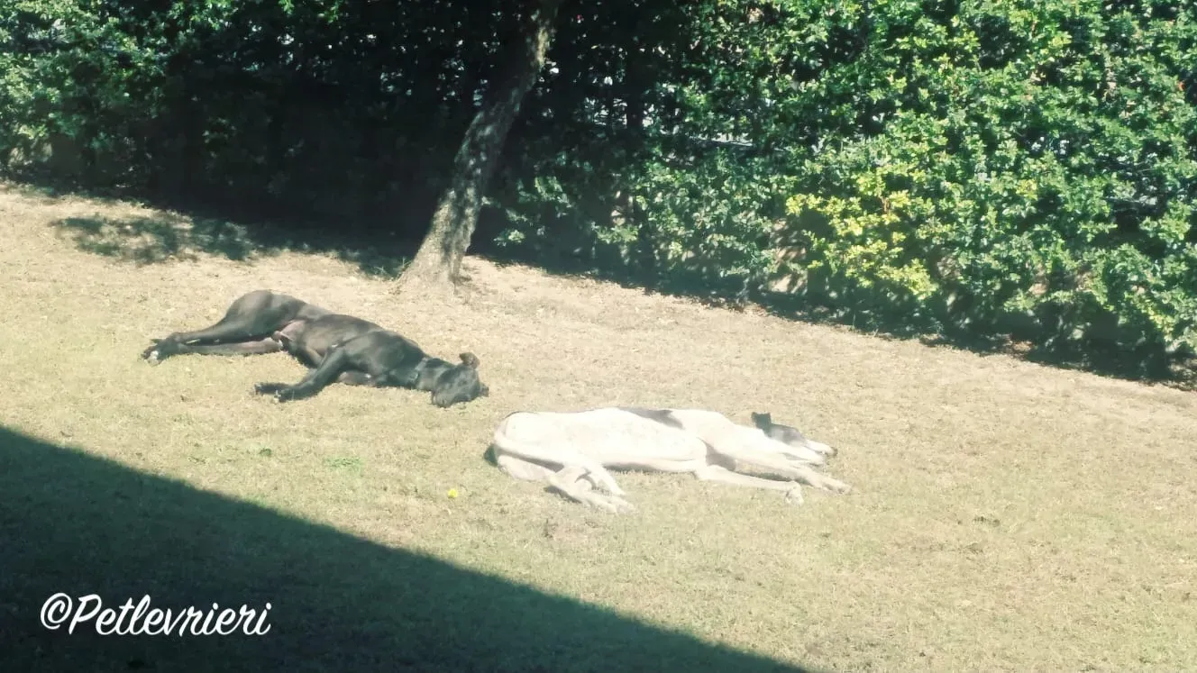 WhatsApp Image 2018 09 27 at 13.14.23