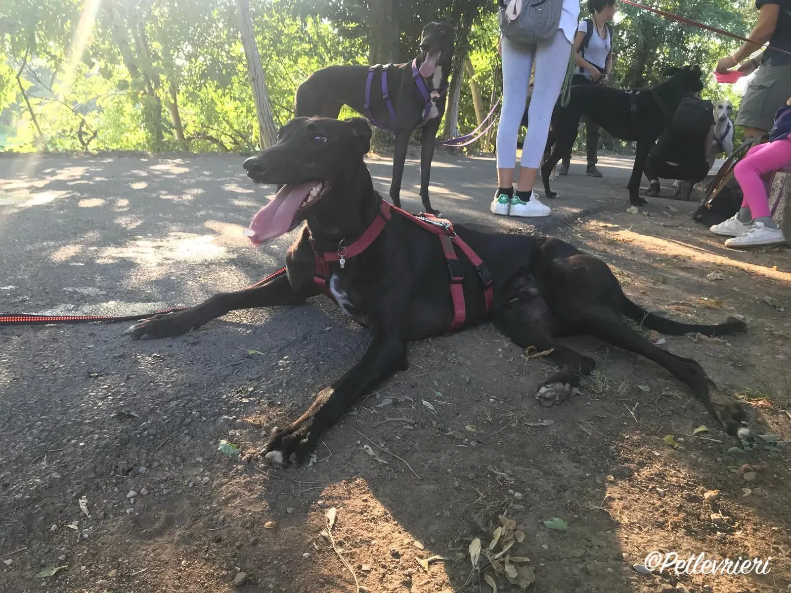 WhatsApp Image 2018 09 30 at 20.03.10