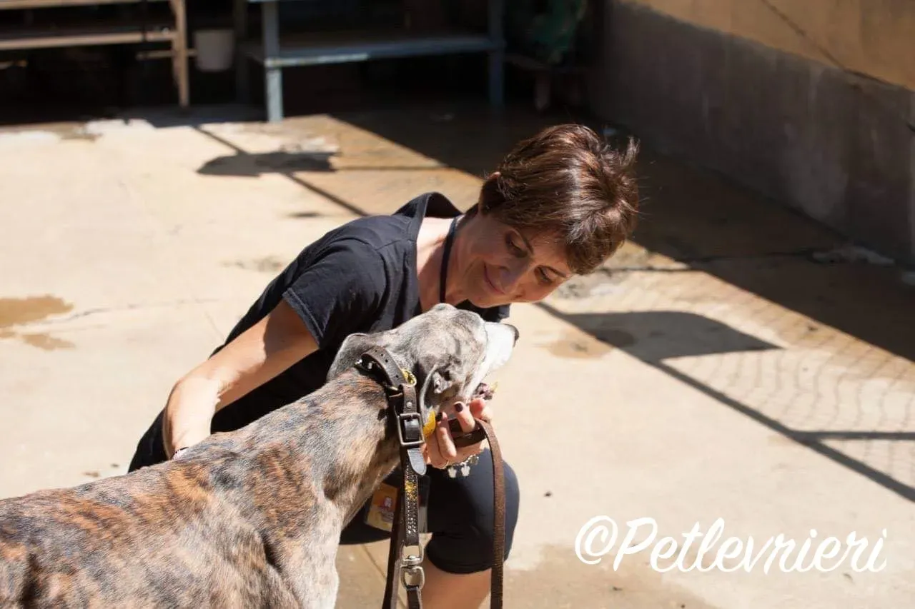 WhatsApp Image 2018 10 17 at 21.51.04