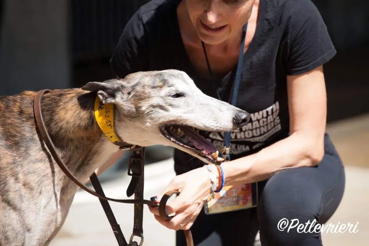 WhatsApp Image 2018 10 17 at 21.51.05