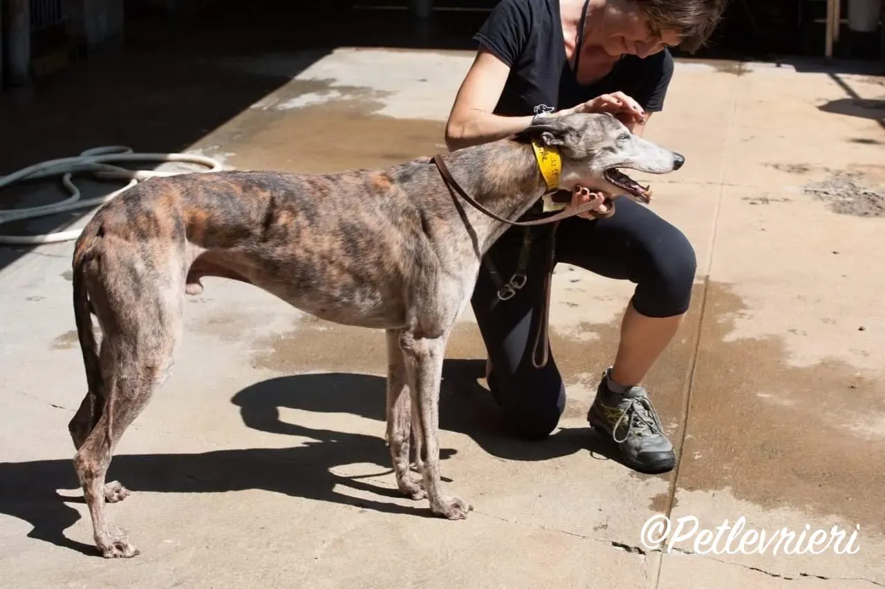 WhatsApp Image 2018 10 17 at 21.51.051