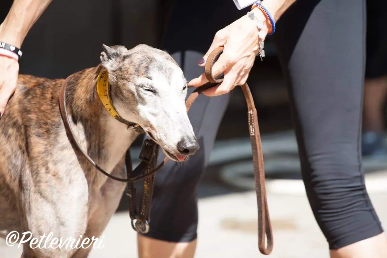 WhatsApp Image 2018 10 17 at 21.51.06