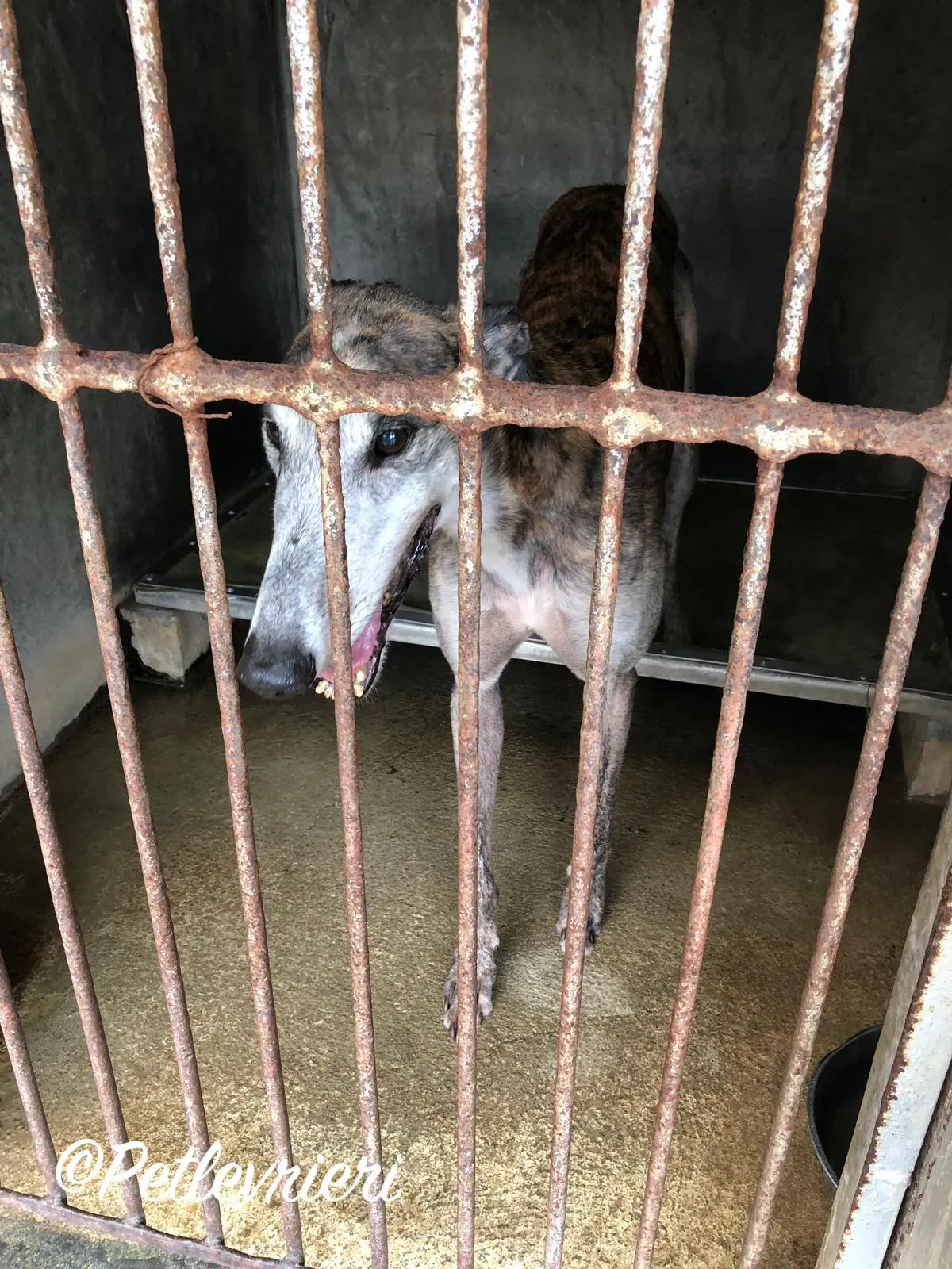 WhatsApp Image 2018 10 17 at 21.56.46