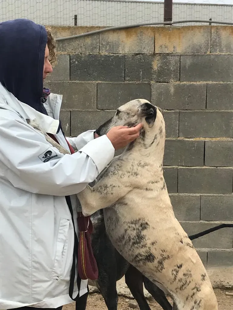 WhatsApp Image 2018 10 19 at 19.55.47