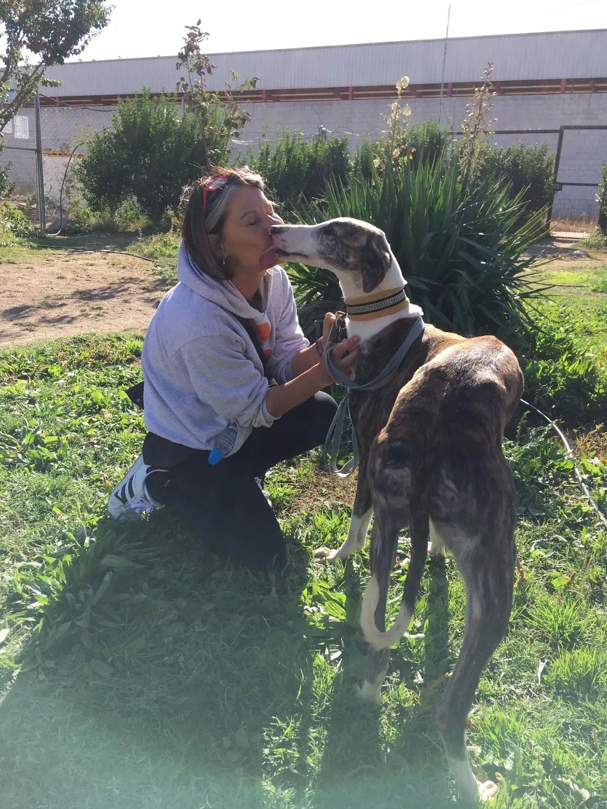 WhatsApp Image 2018 10 21 at 09.26.13