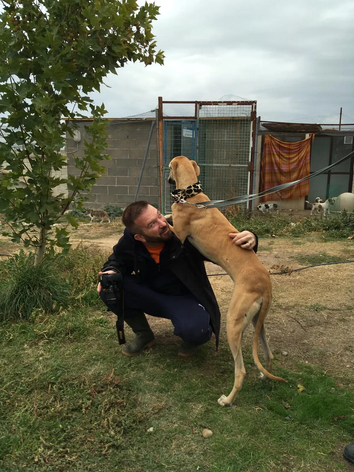 WhatsApp Image 2018 10 21 at 09.26.39