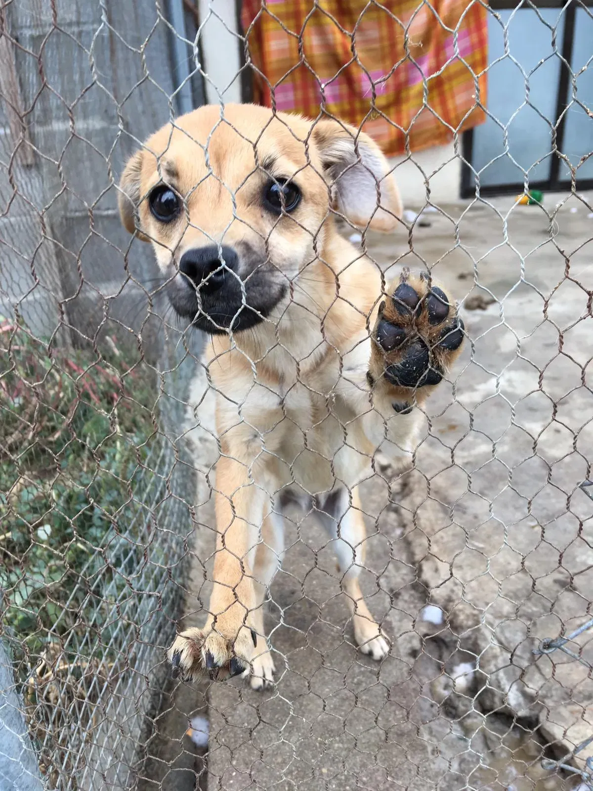 WhatsApp Image 2018 10 21 at 09.27.00