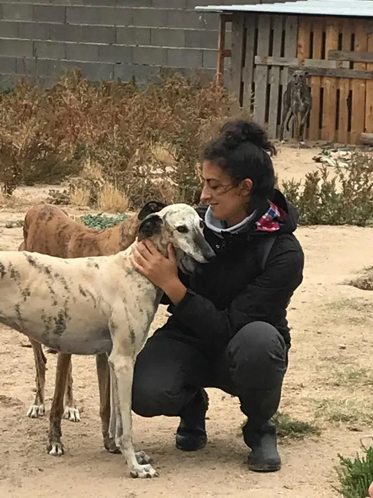 WhatsApp Image 2018 10 21 at 09.27.35