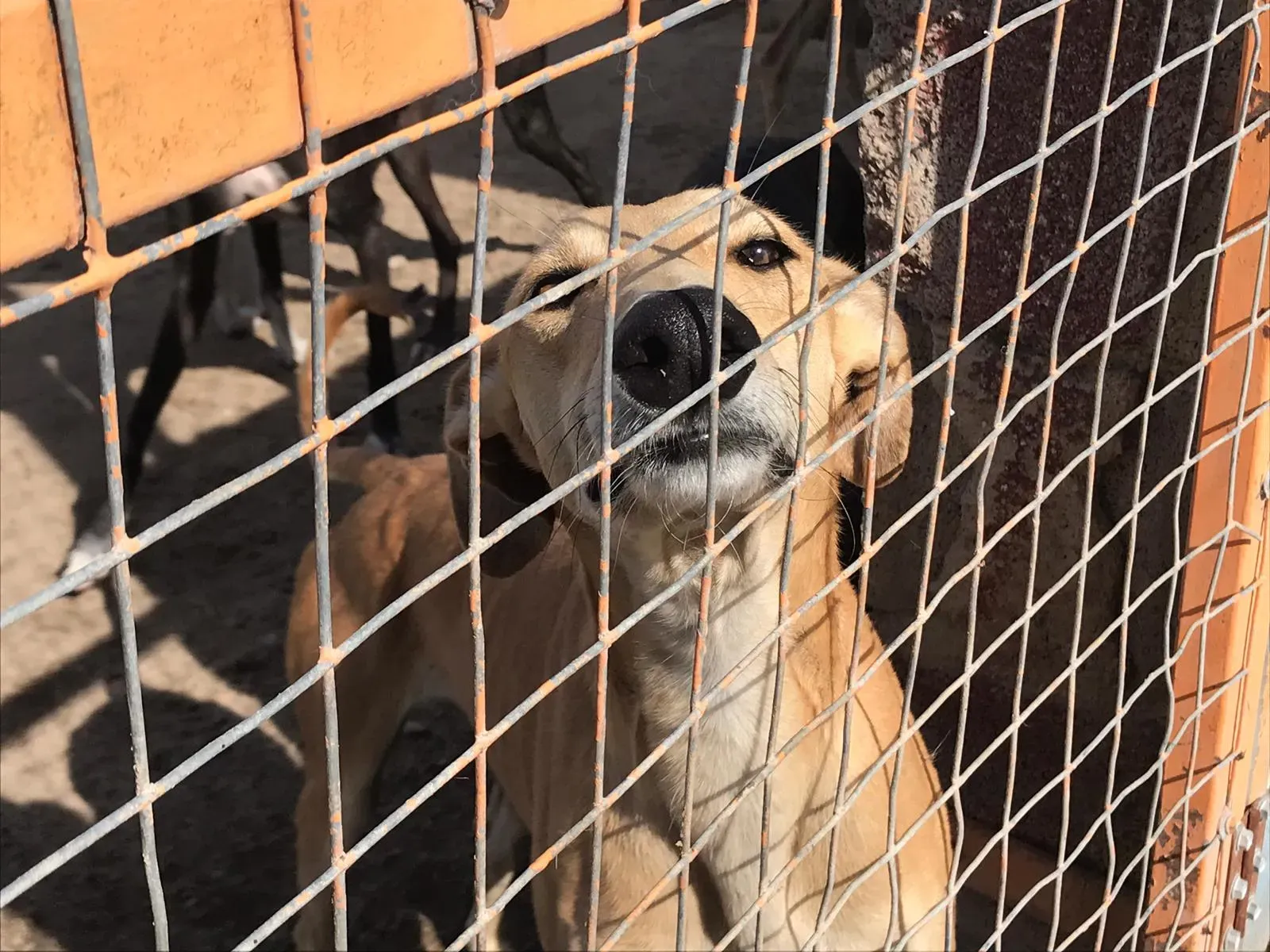 WhatsApp Image 2018 10 21 at 10.29.25