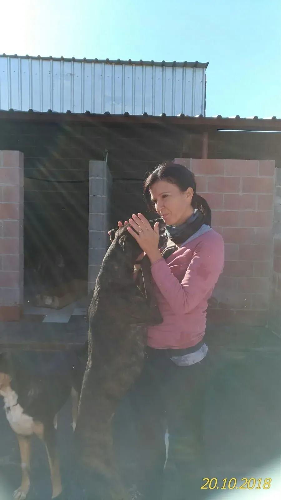 WhatsApp Image 2018 10 21 at 10.29.26