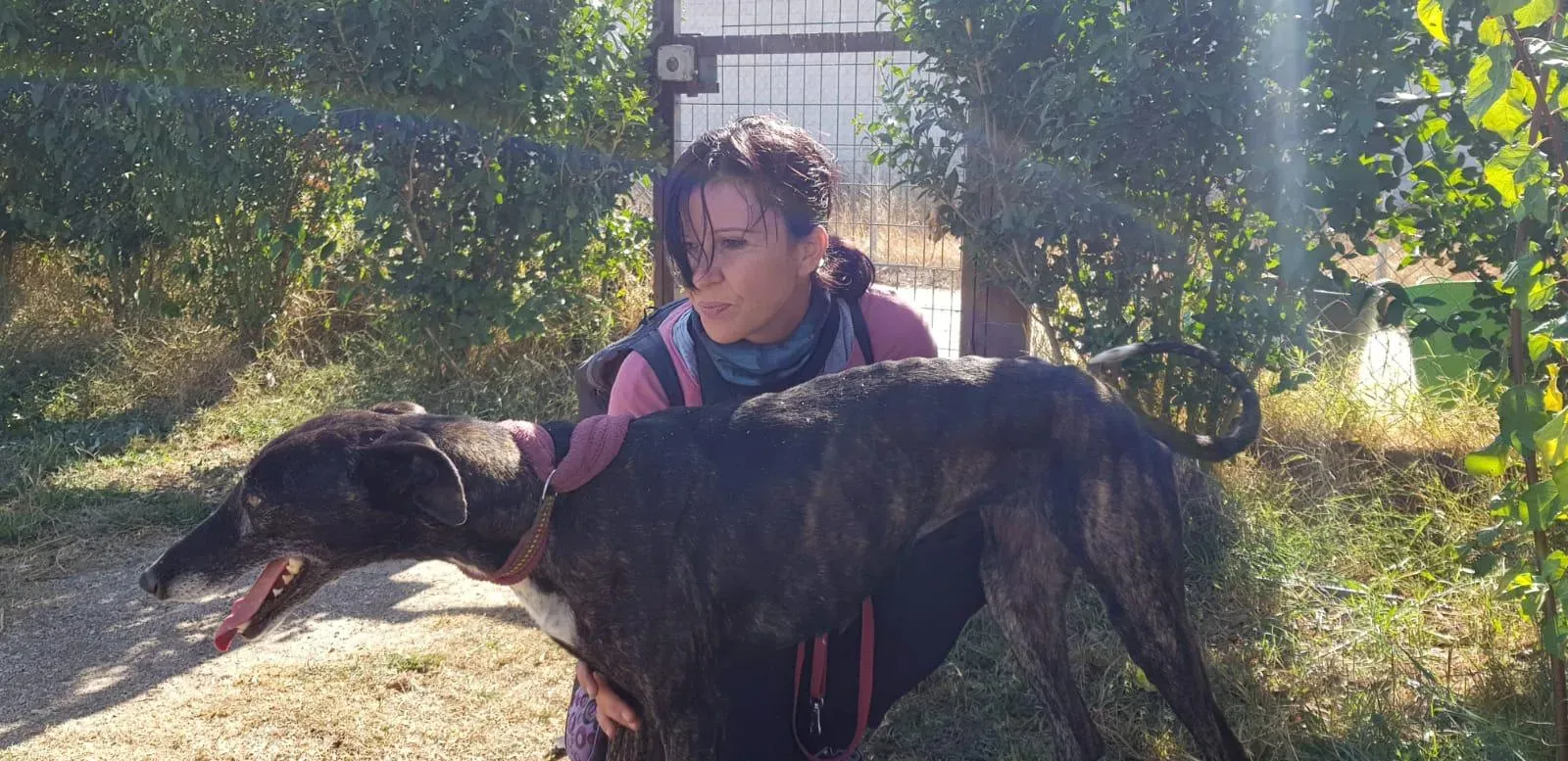 WhatsApp Image 2018 10 21 at 10.29.261