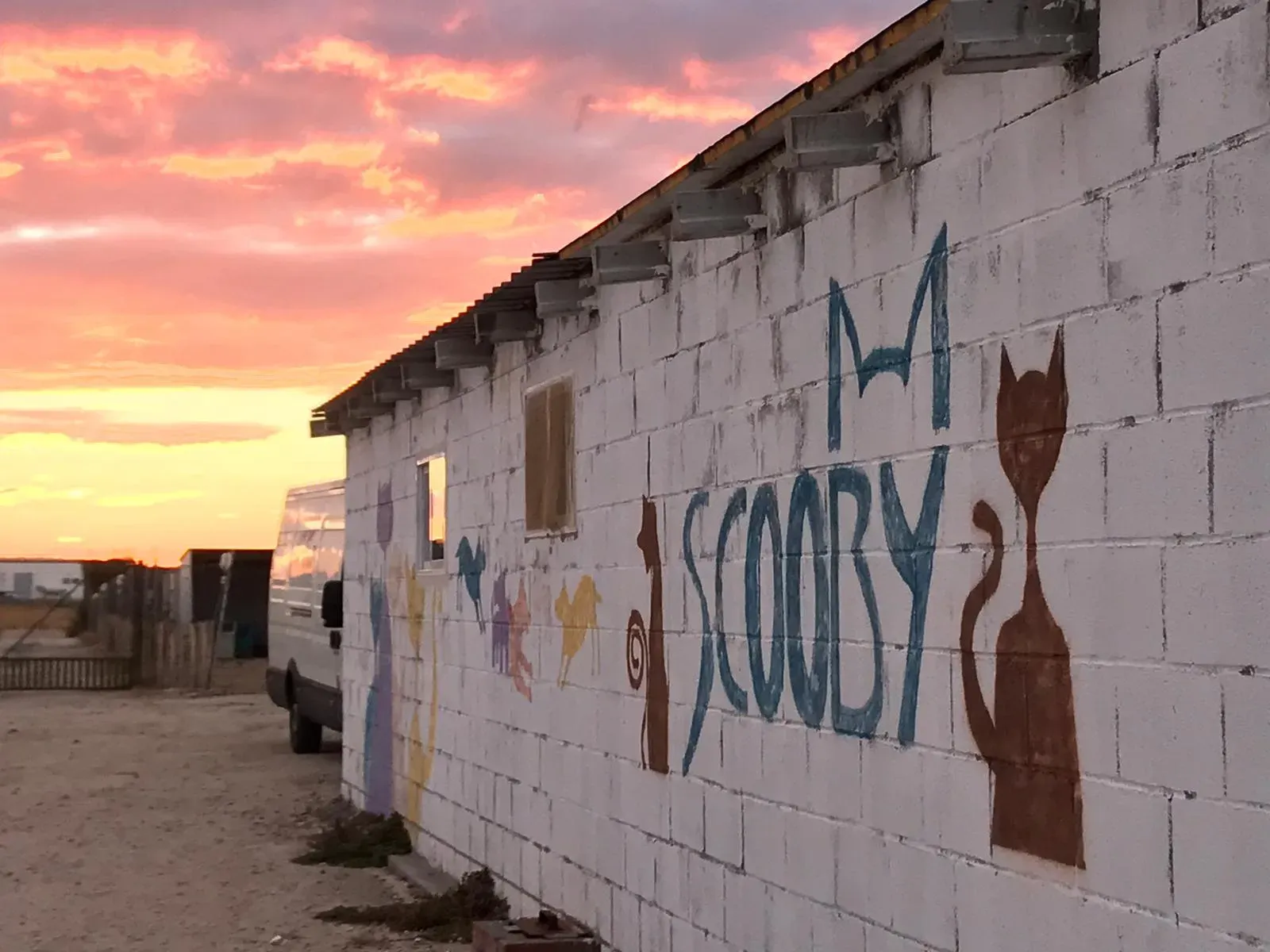 WhatsApp Image 2018 10 21 at 10.31.39