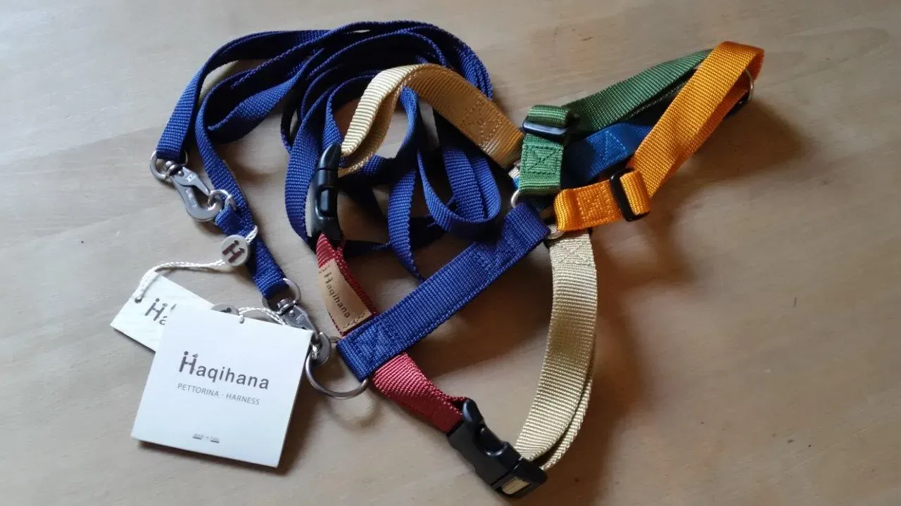 WhatsApp Image 2018 10 25 at 12.40.50