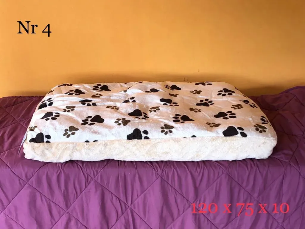 WhatsApp Image 2018 11 03 at 17.33.51