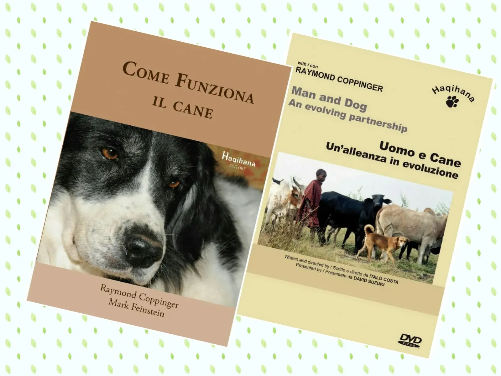 WhatsApp Image 2018 11 09 at 08.50.37