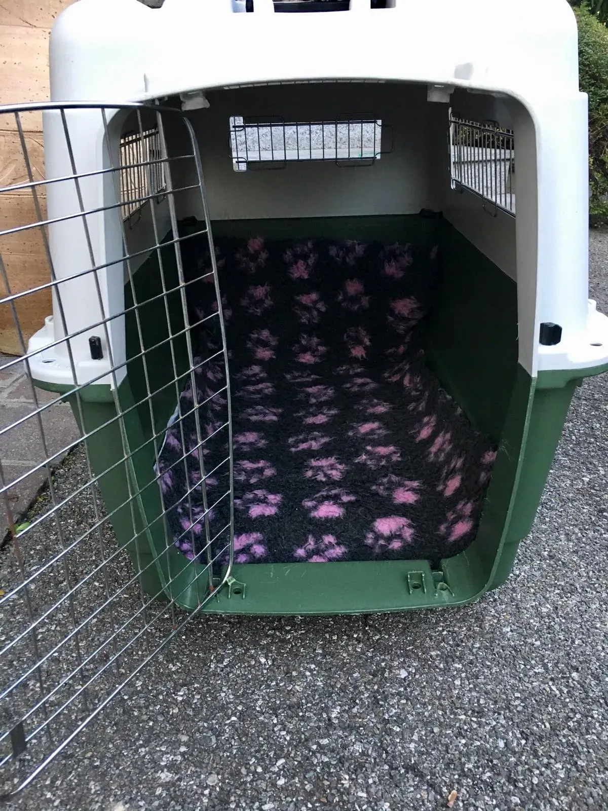 WhatsApp Image 2018 11 18 at 10.04.481