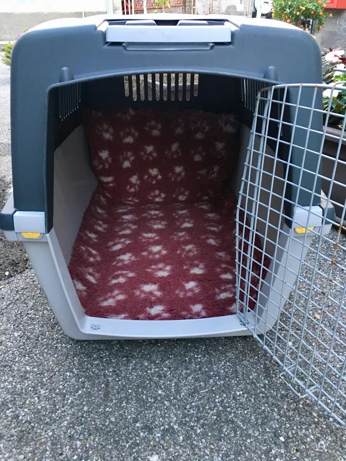 WhatsApp Image 2018 11 18 at 10.04.51