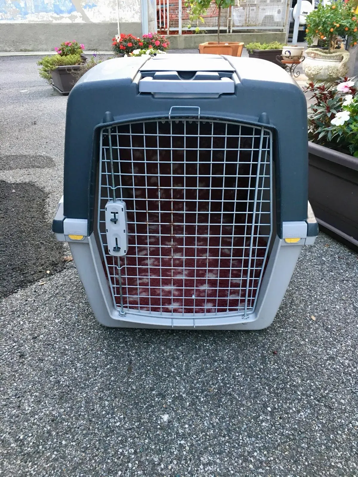 WhatsApp Image 2018 11 18 at 10.04.511