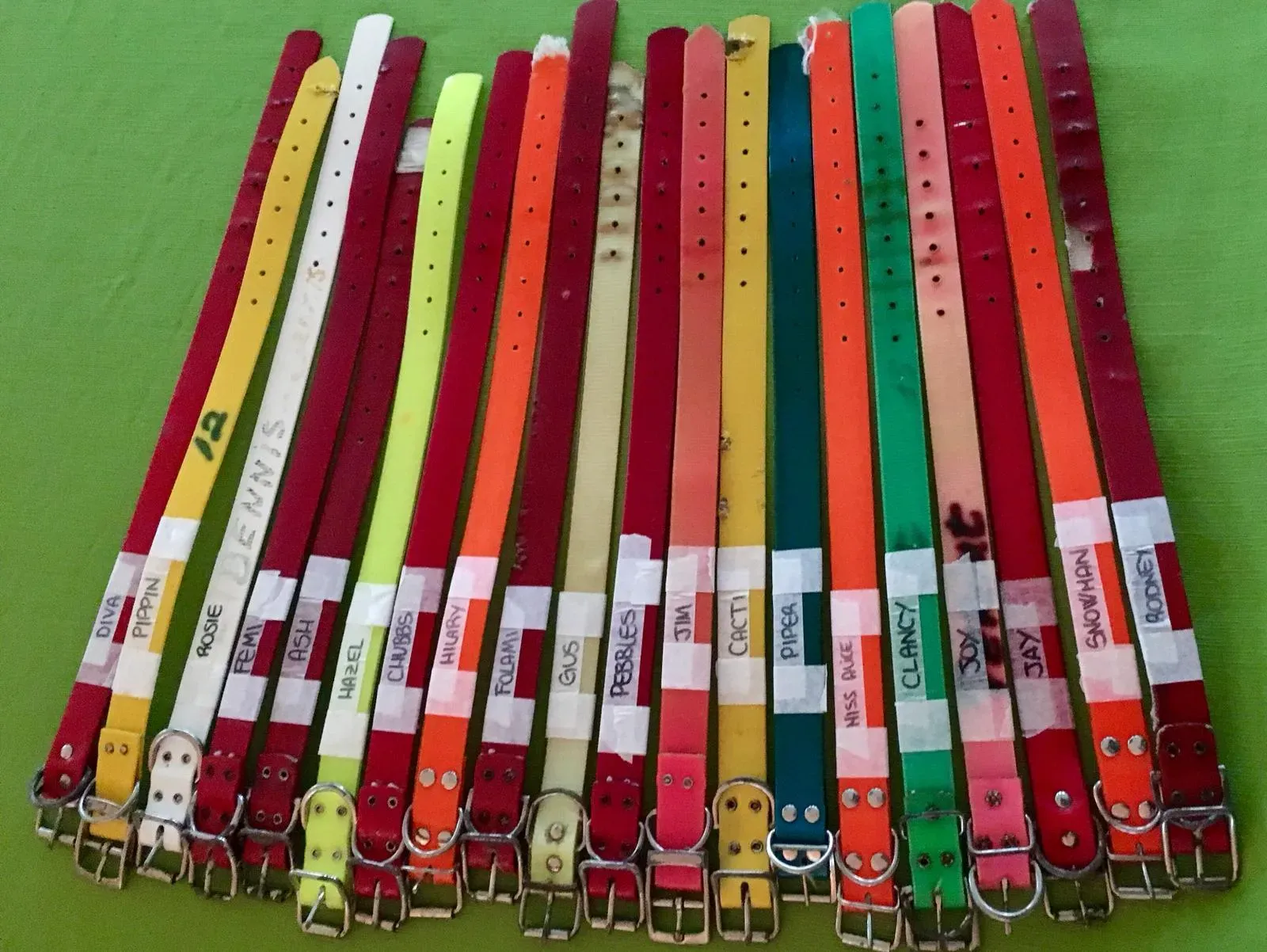 WhatsApp Image 2018 11 18 at 10.04.512