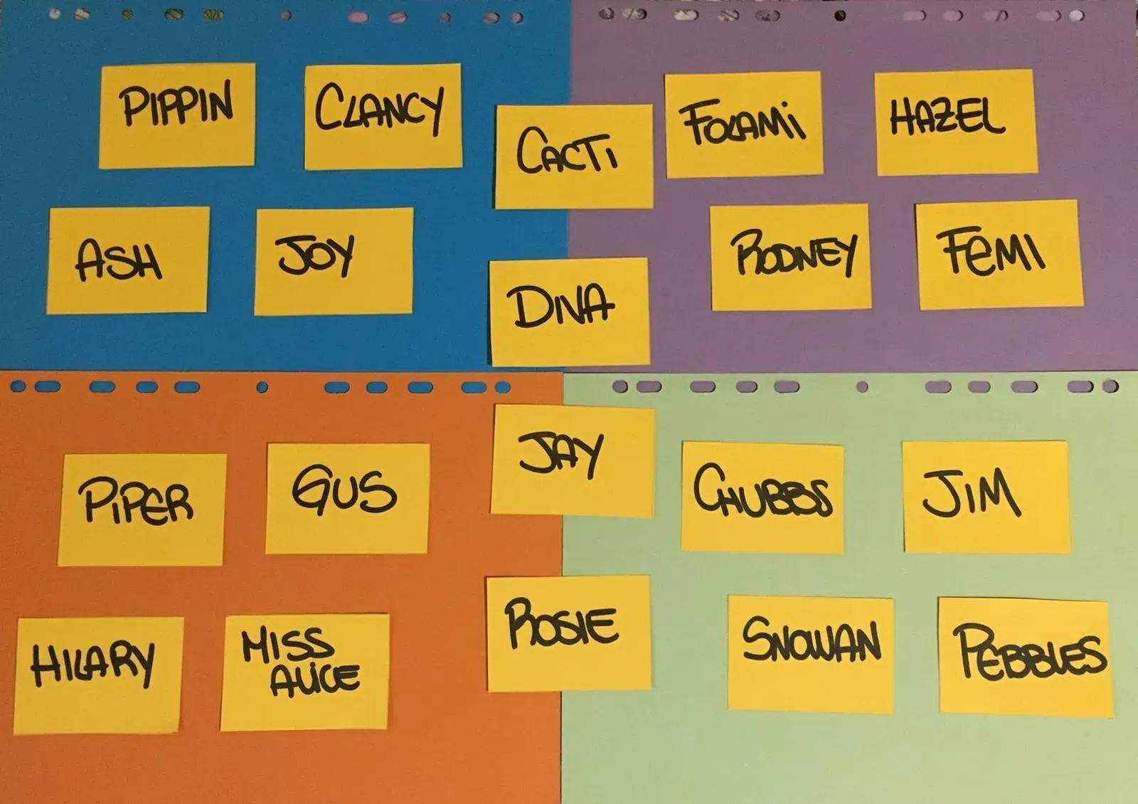 WhatsApp Image 2018 11 18 at 10.04.52