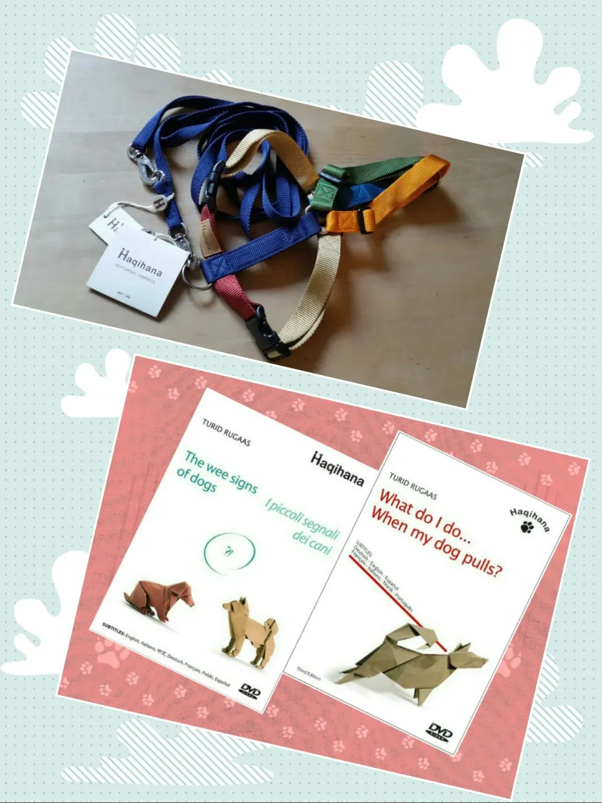 WhatsApp Image 2018 12 07 at 22.20.44