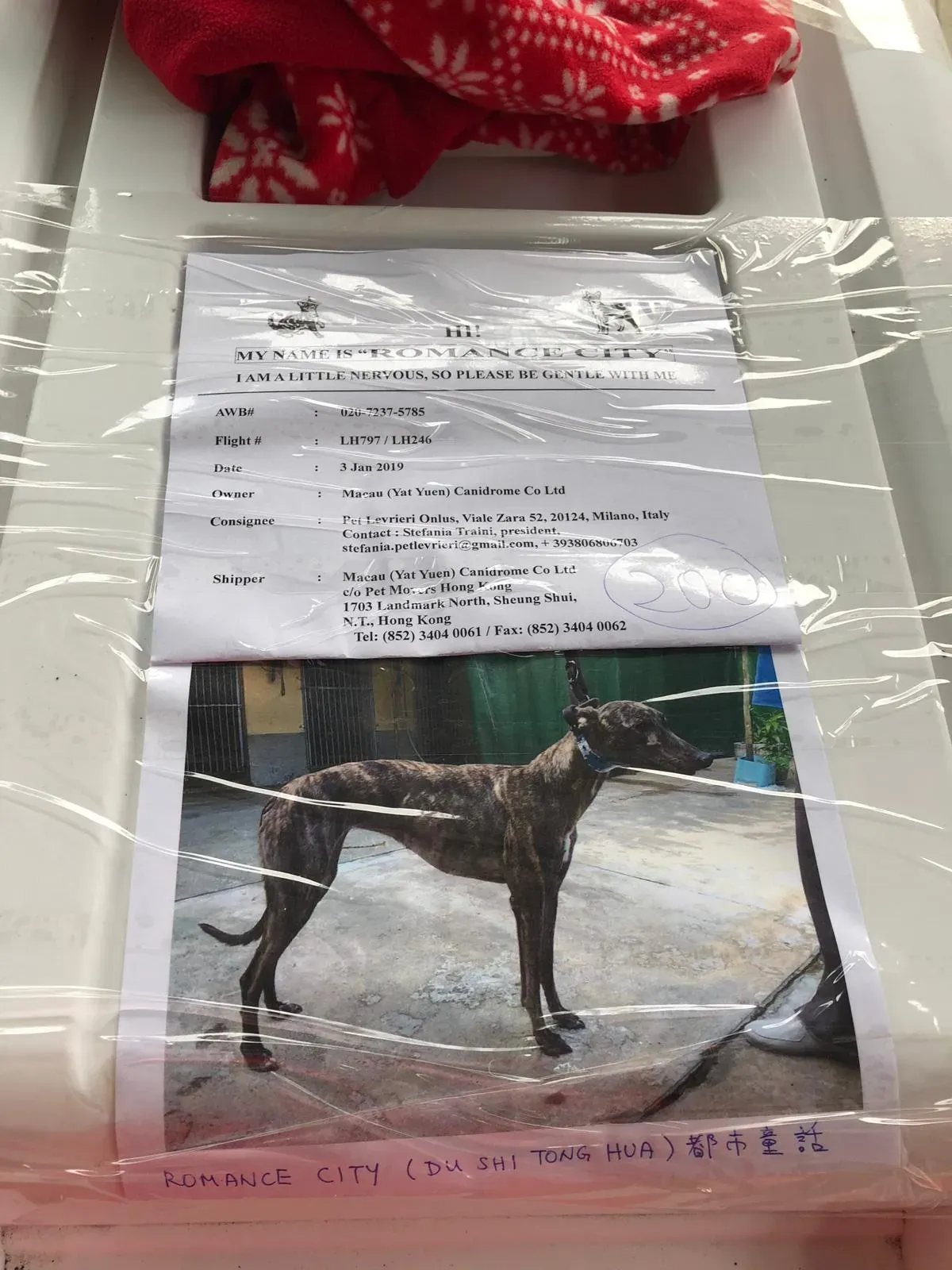 WhatsApp Image 2019 01 03 at 10.20.14