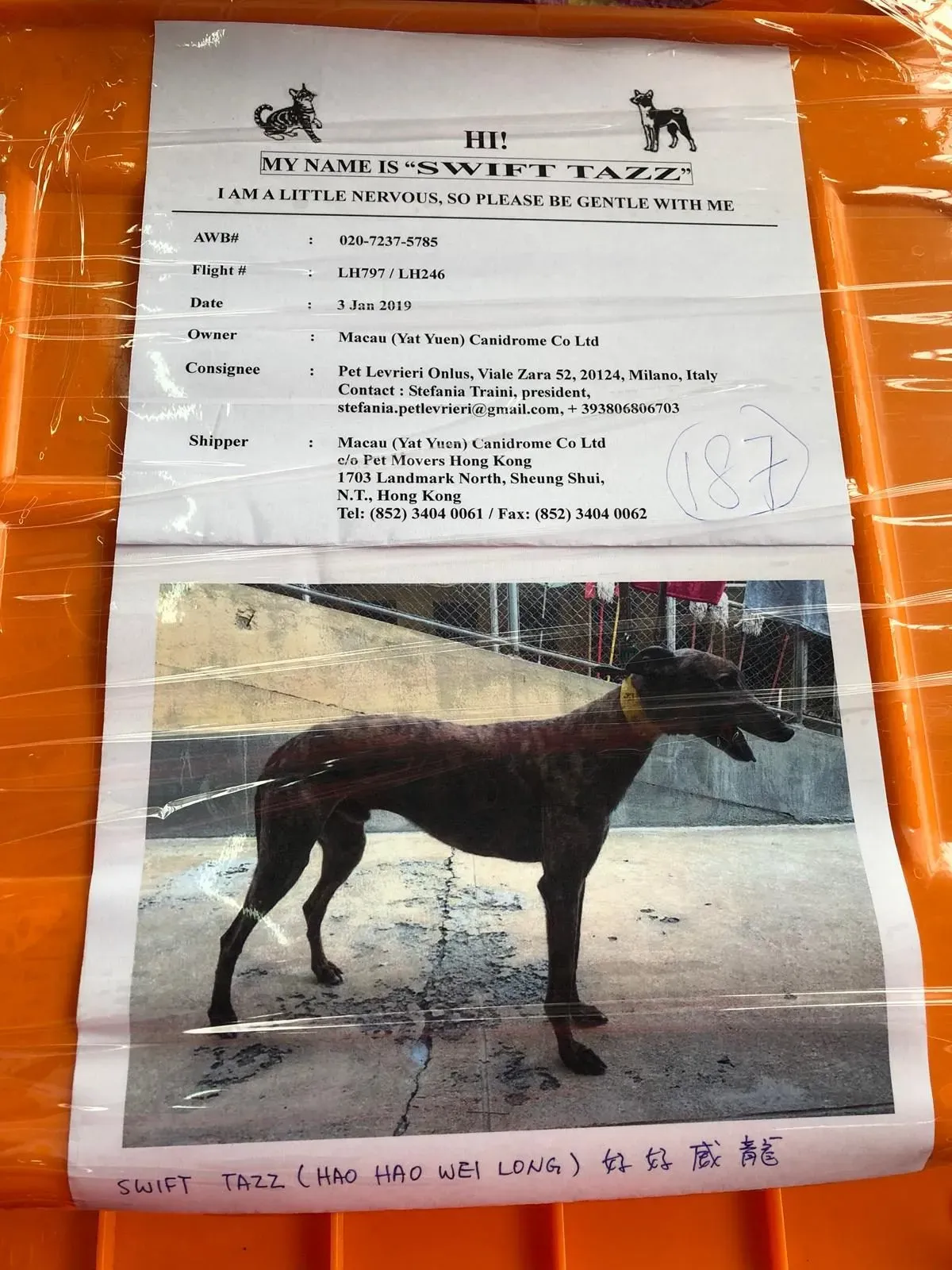 WhatsApp Image 2019 01 03 at 10.20.15 e1546582193150