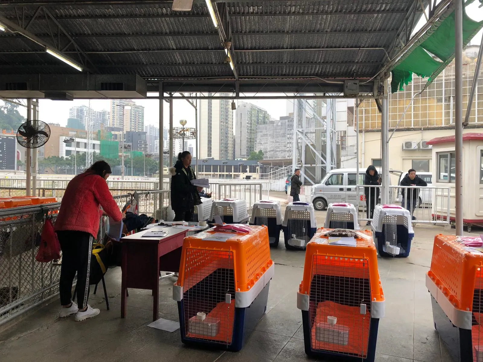 WhatsApp Image 2019 01 03 at 10.20.46