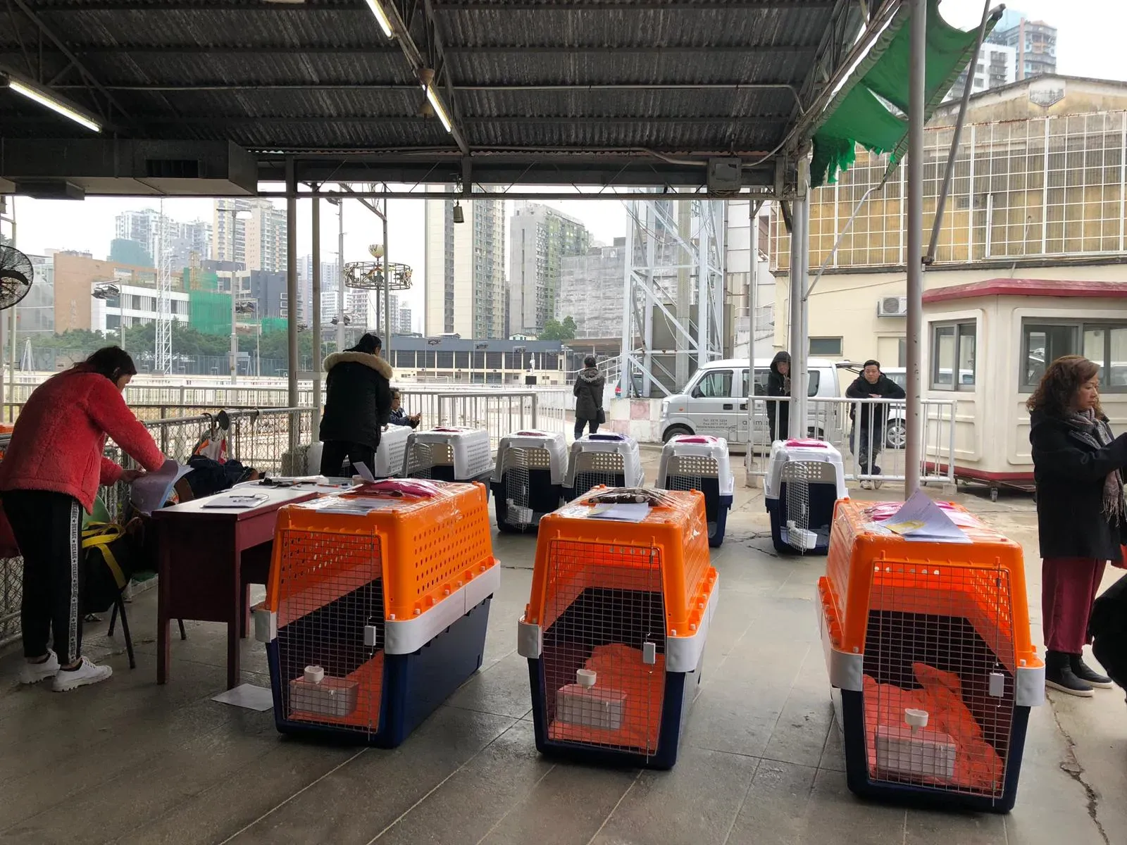 WhatsApp Image 2019 01 03 at 10.20.461