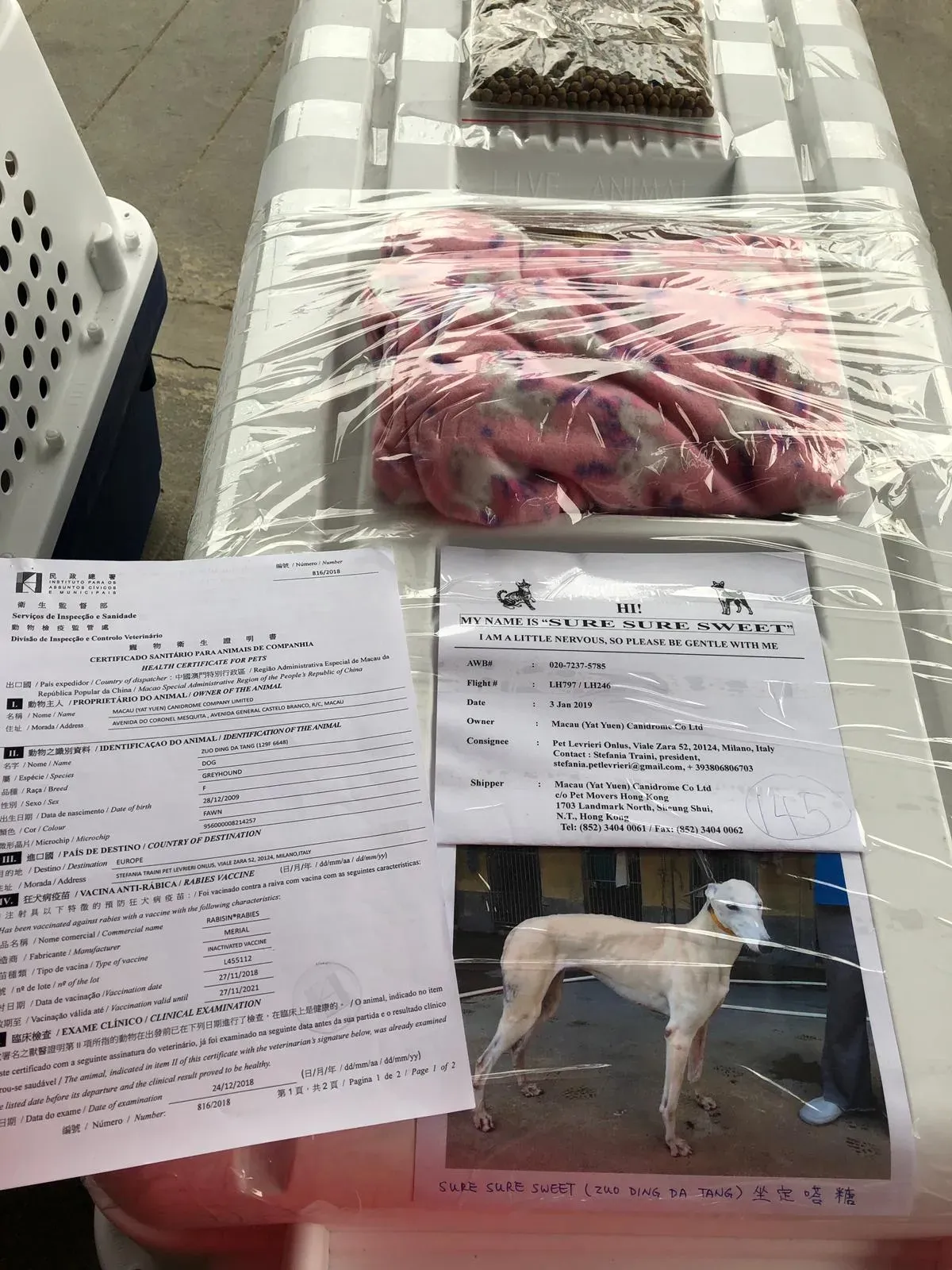 WhatsApp Image 2019 01 03 at 10.20.462