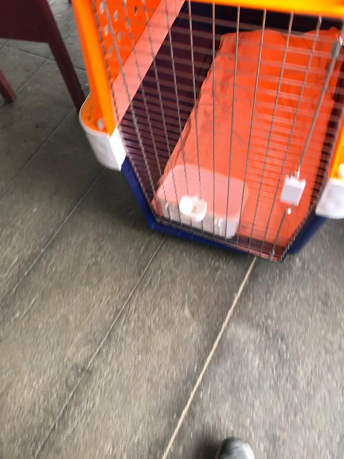 WhatsApp Image 2019 01 03 at 10.20.47