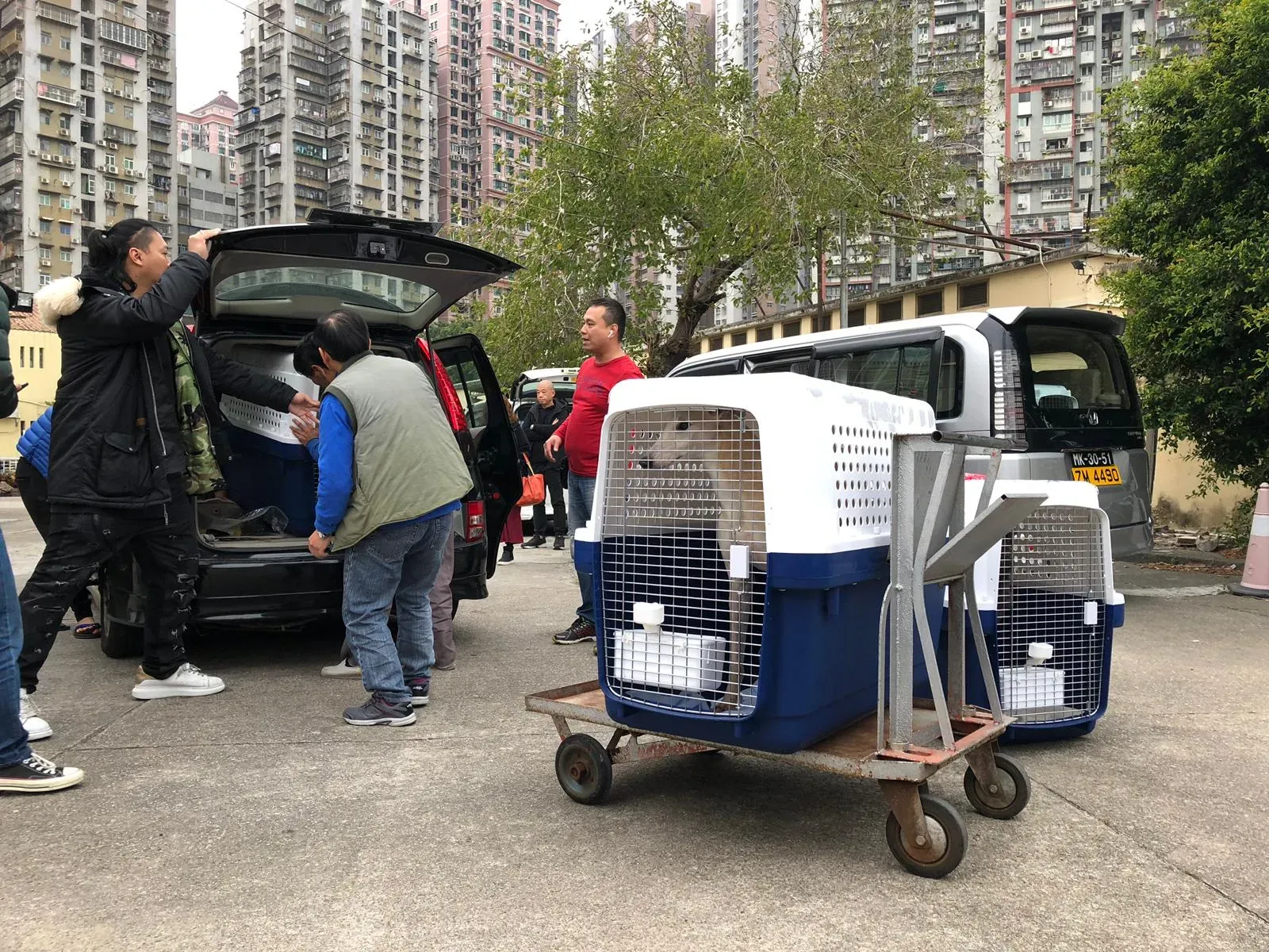 WhatsApp Image 2019 01 03 at 10.23.06