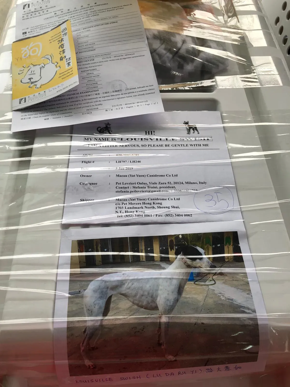 WhatsApp Image 2019 01 03 at 10.23.061