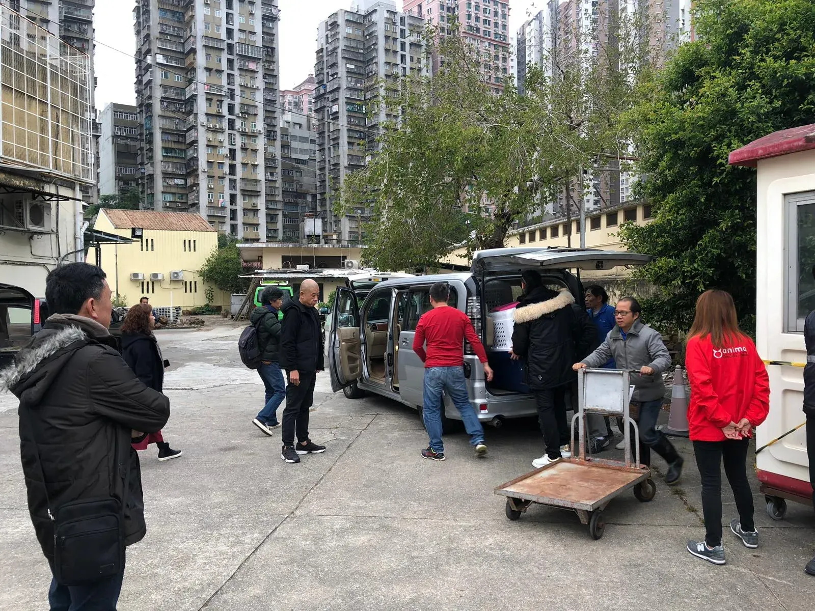 WhatsApp Image 2019 01 03 at 10.23.07