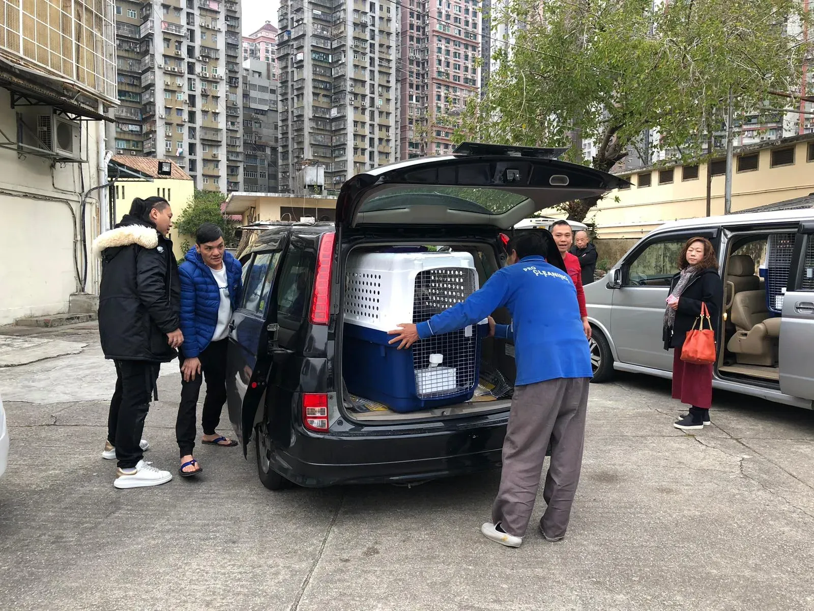 WhatsApp Image 2019 01 03 at 10.23.08