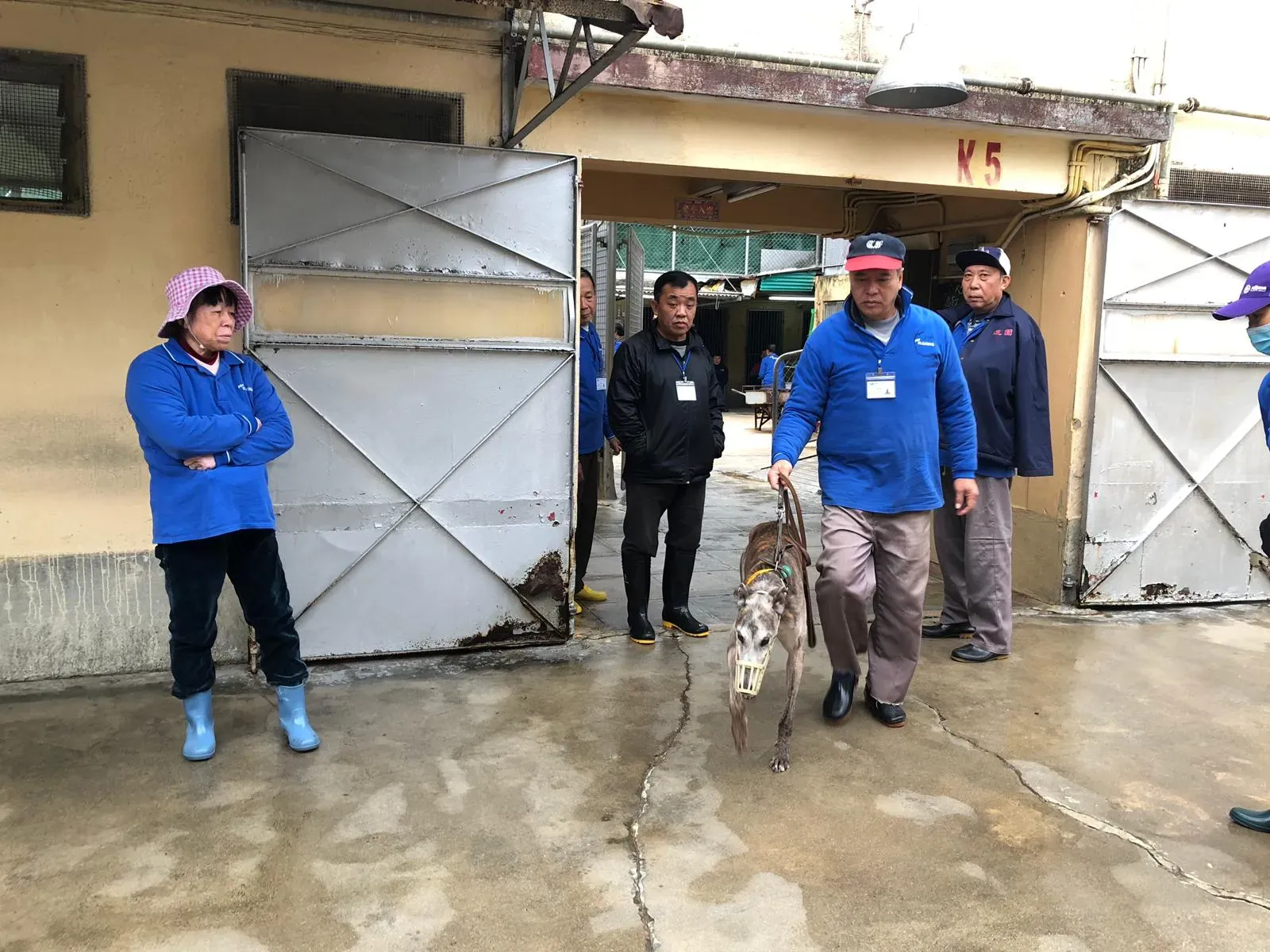 WhatsApp Image 2019 01 03 at 10.24.14