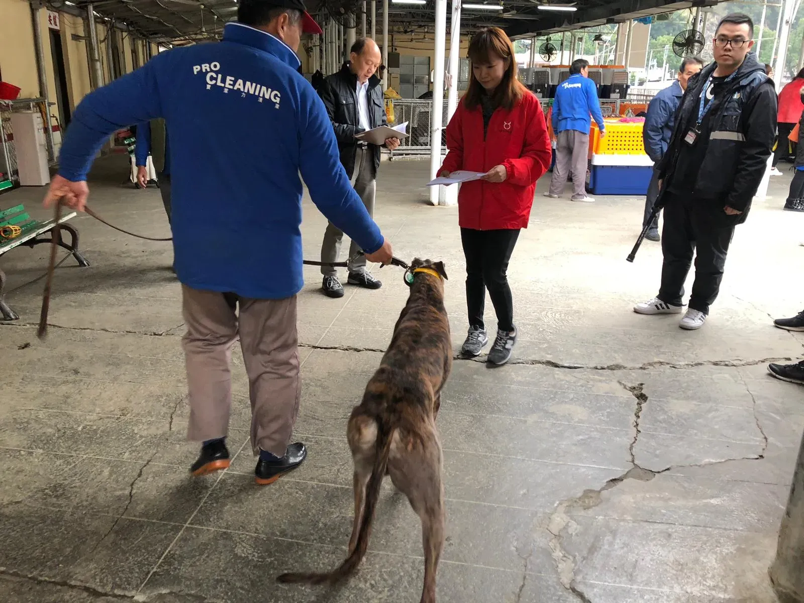 WhatsApp Image 2019 01 03 at 10.24.141