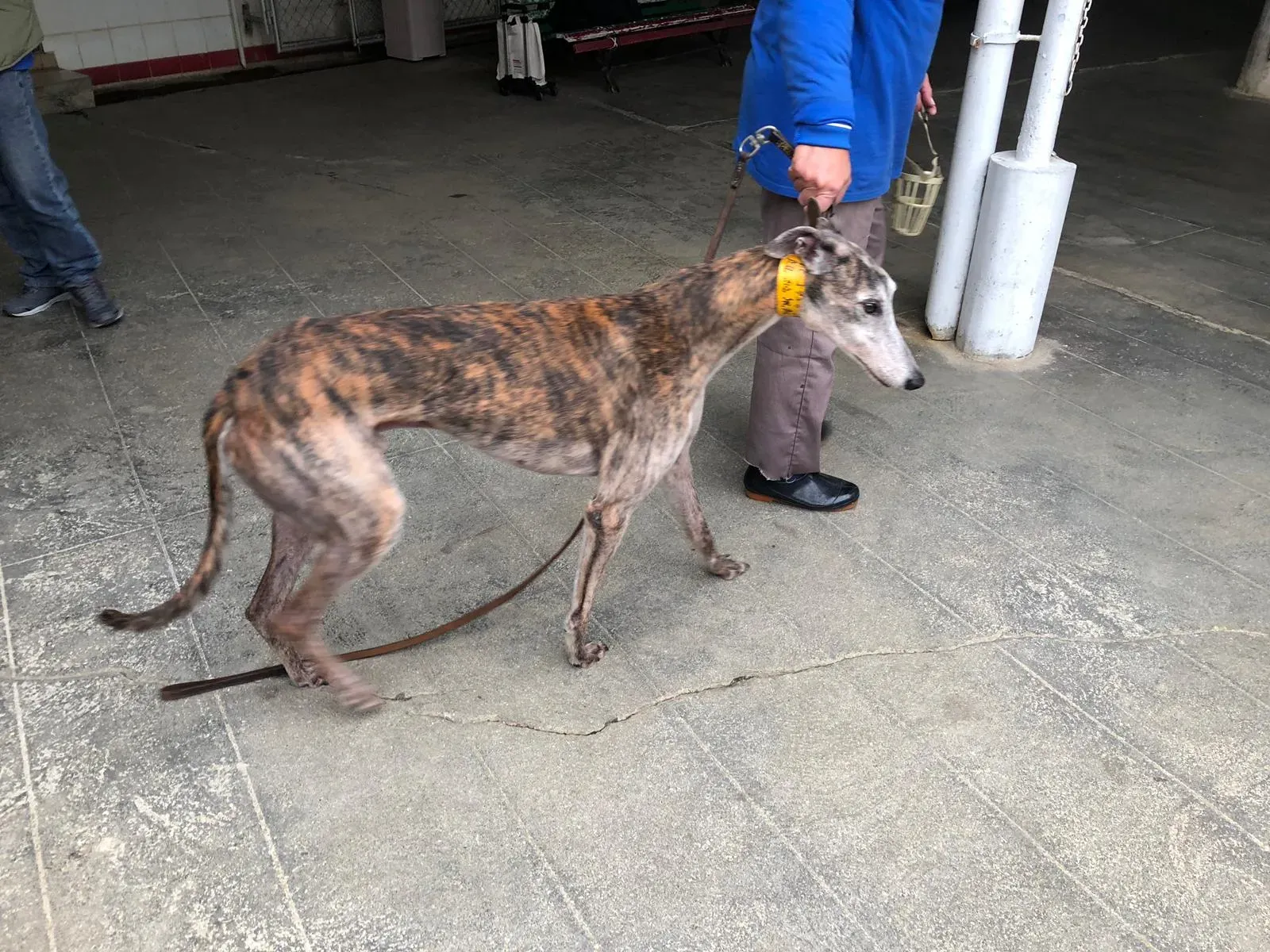 WhatsApp Image 2019 01 03 at 10.24.161