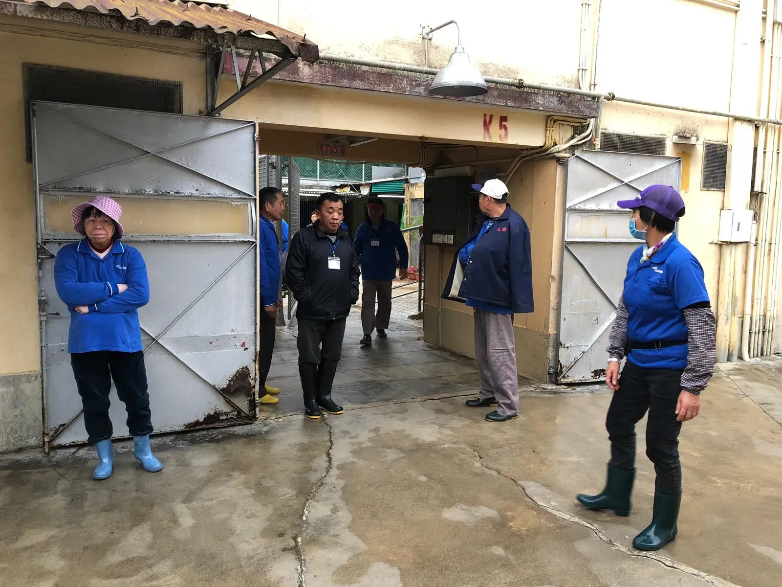 WhatsApp Image 2019 01 03 at 10.24.162