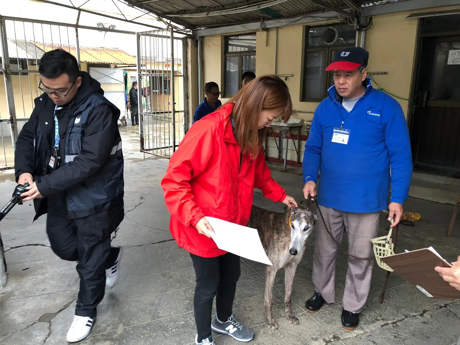 WhatsApp Image 2019 01 03 at 10.24.163