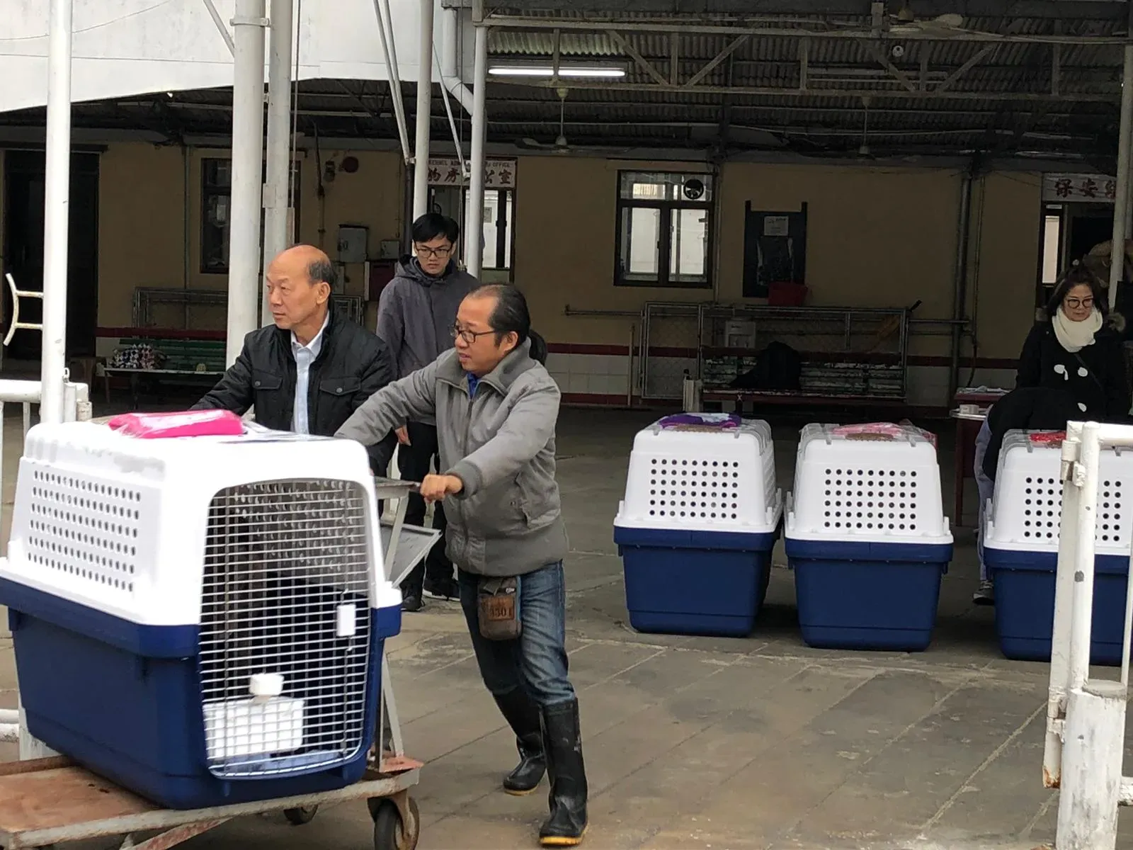 WhatsApp Image 2019 01 03 at 10.24.17