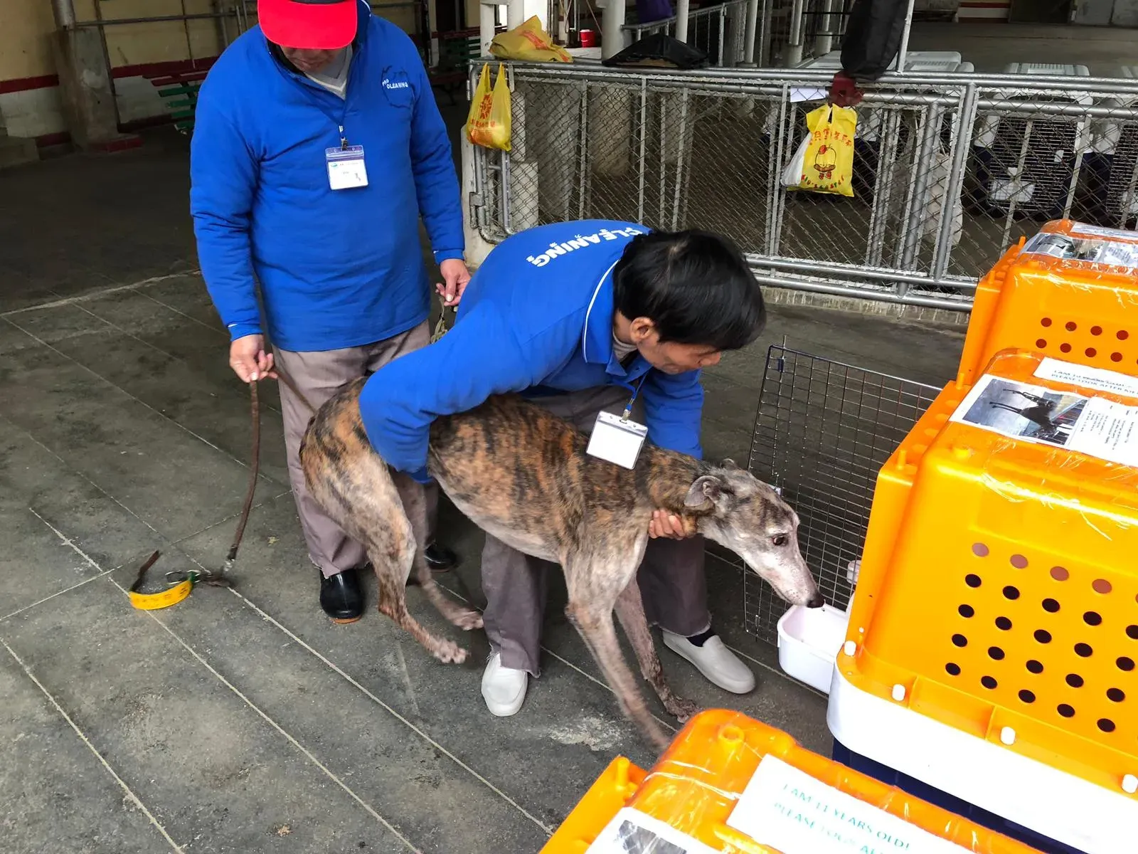 WhatsApp Image 2019 01 03 at 10.24.42