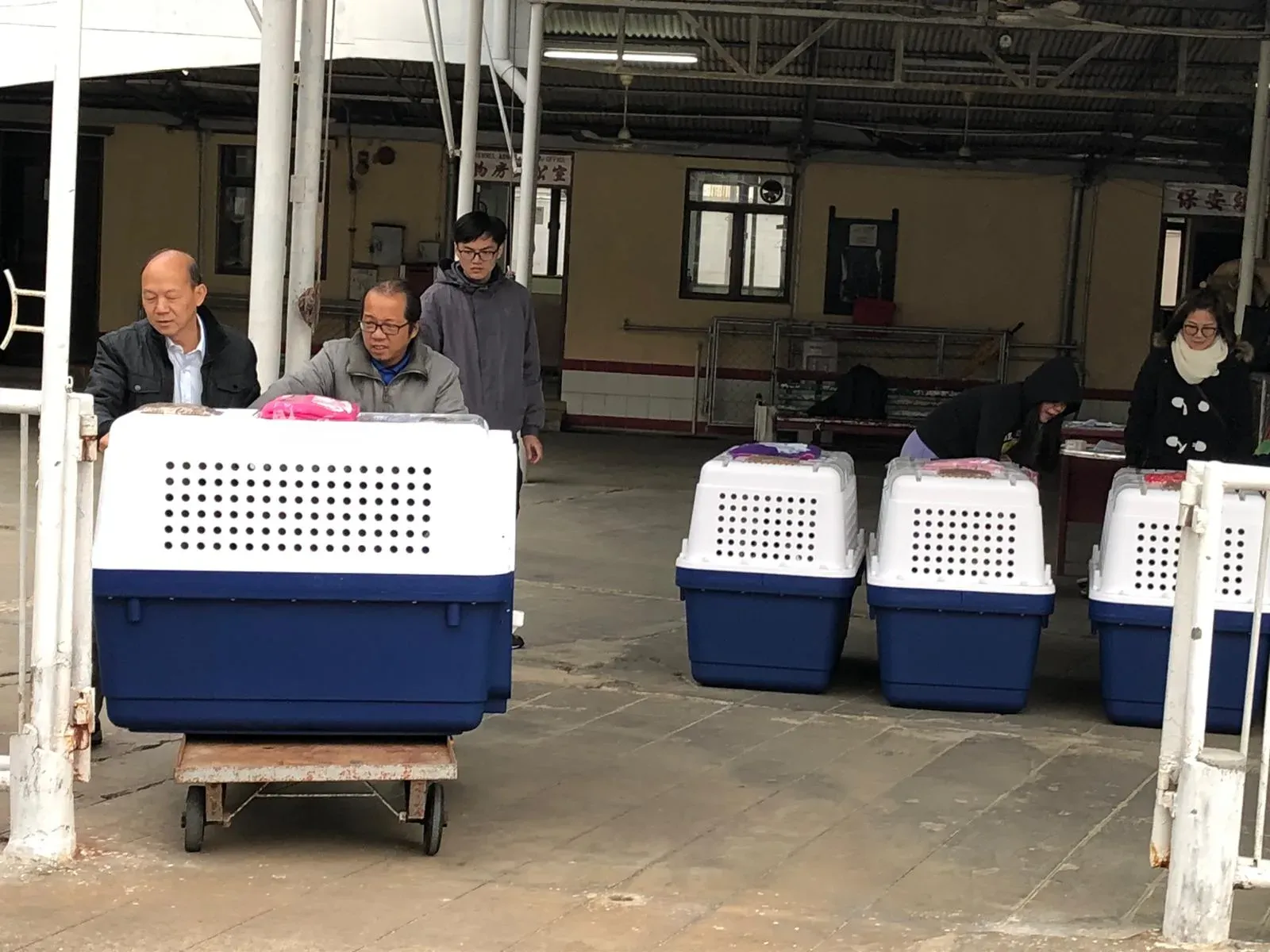 WhatsApp Image 2019 01 03 at 10.24.43