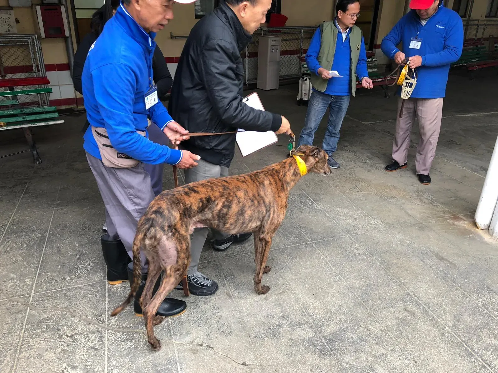 WhatsApp Image 2019 01 03 at 10.24.45